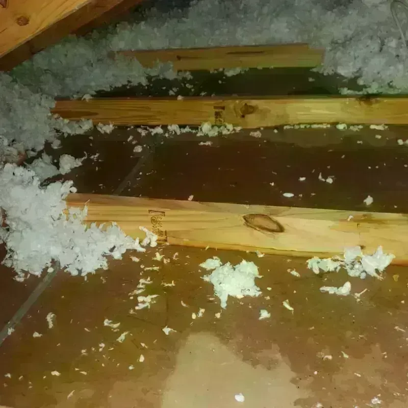 Attic Water Damage in Helena, MT