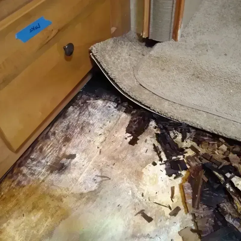 Wood Floor Water Damage in Helena, MT